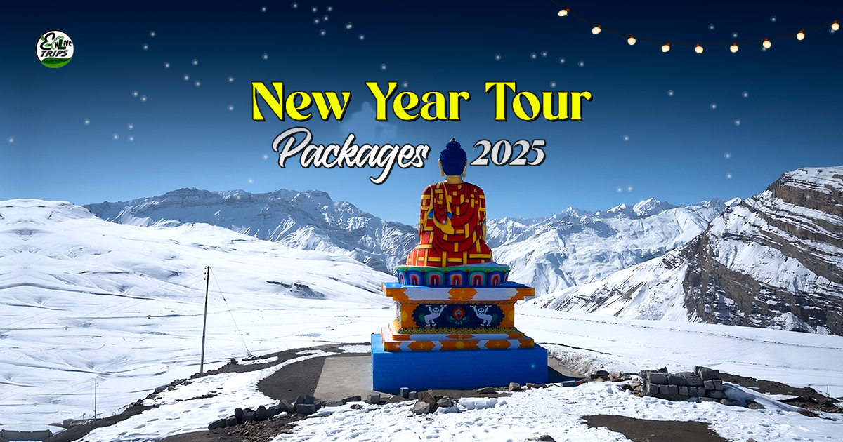 New year trip packages Delhi